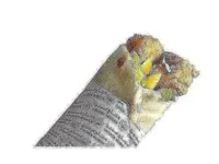 ساندوتش زنجر