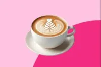 وايت موكا