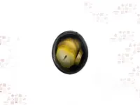 مخلل