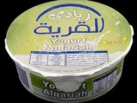 زبادي القرية