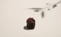 مافن الشوكلاتة