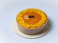 شيز كيك مانجو