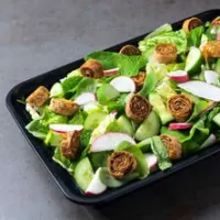 فتوش اكس ال