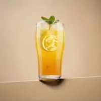 ايس تي باشن فروت